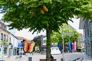 Deko in der Pinneberger City Schmetterlinge