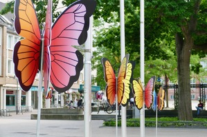 Deko in der Pinneberger City Schmetterlinge