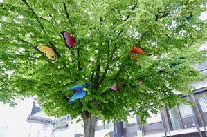 Deko in der Pinneberger City Schmetterlinge