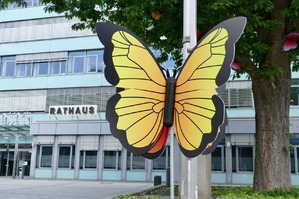 Deko in der Pinneberger City Schmetterlinge