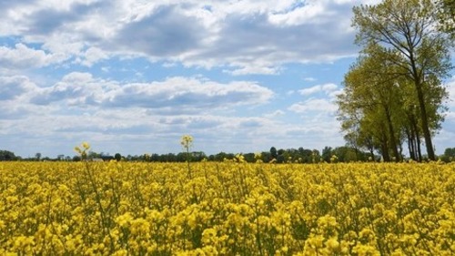 Entdeckertouren Pinneberg